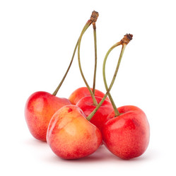 Similar image 2972584