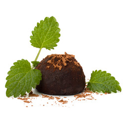 Similar image 2972605