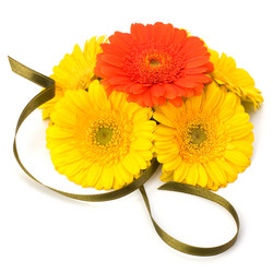 Similar image 2972619