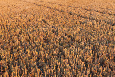 Similar image 2972657