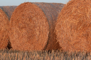 Similar image 2972658