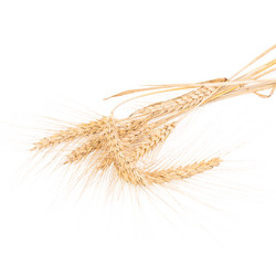 Similar image 2972659