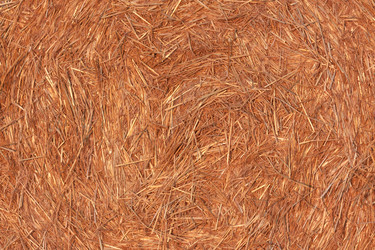 Similar image 2972660