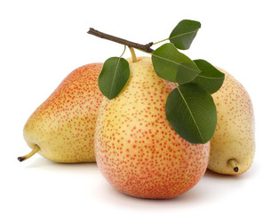 Similar image 2972691