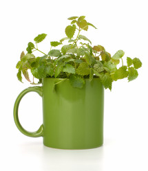 Similar image 2972741