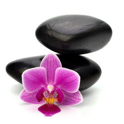 Similar image 2972828