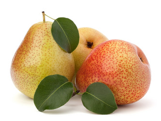 Similar image 2972846