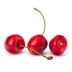 Similar image 2972857