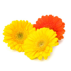 Similar image 2972918