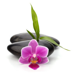 Similar image 2972941