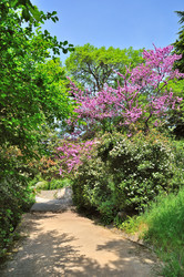 Similar image 2972946