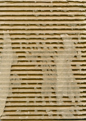 Similar image 2972952