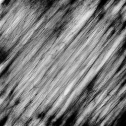 Similar image 2972960