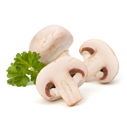 Similar image 2972966