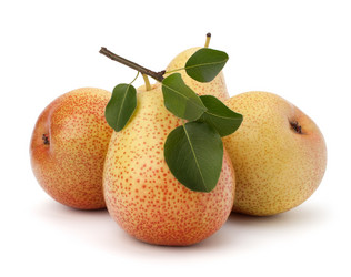 Similar image 2972976