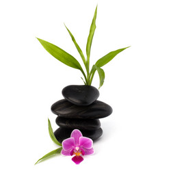 Similar image 2973001