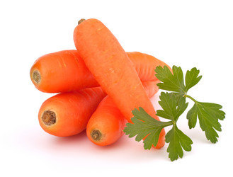 Similar image 2973013