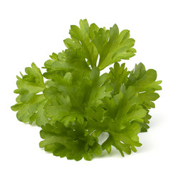 Similar image 2973015