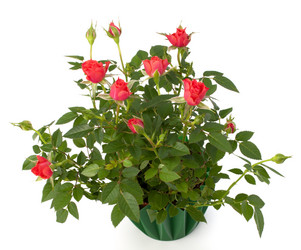 Similar image 2973064