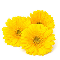 Similar image 2973065