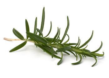 Similar image 2973069