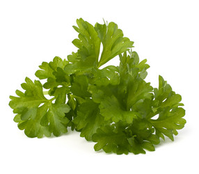 Similar image 2973100