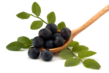 Similar image 2973114