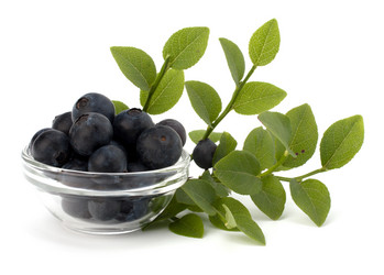 Similar image 2973117