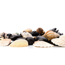 Similar image 2973141