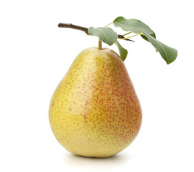 Similar image 2973165