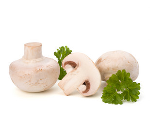 Similar image 2973168