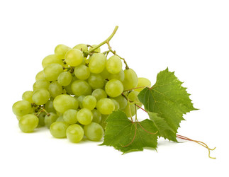 Similar image 2973183