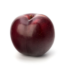 Similar image 2973224