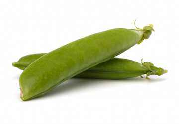 Similar image 2973269