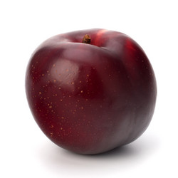 Similar image 2973270