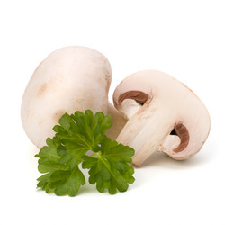 Similar image 2973285