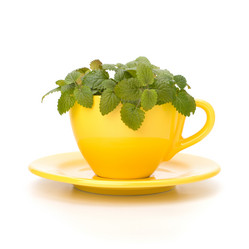 Similar image 2973321