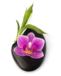 Similar image 2973332