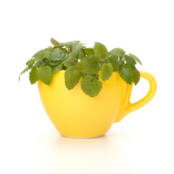 Similar image 2973360