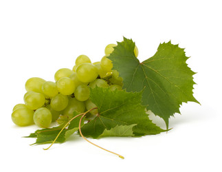 Similar image 2973393