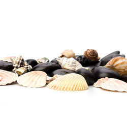 Similar image 2973403