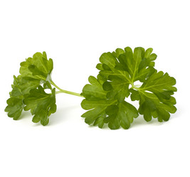 Similar image 2973417