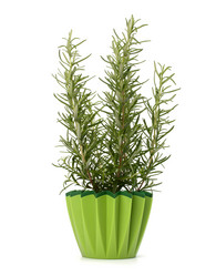 Similar image 2973444