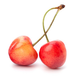 Similar image 2973463