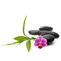 Similar image 2973478