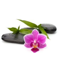 Similar image 2973494