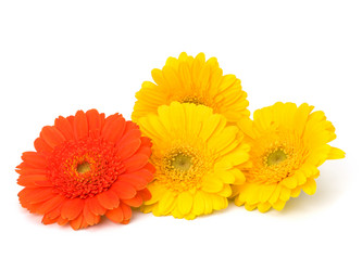 Similar image 2973513