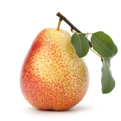 Similar image 2973528