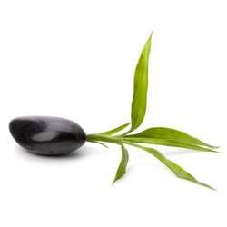 Similar image 2973538