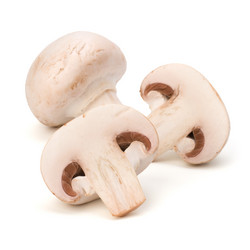 Similar image 2973549